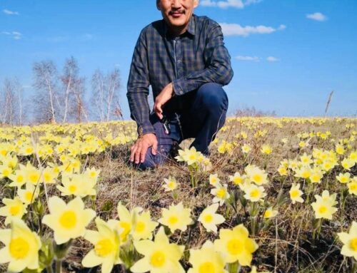 Subota i nedelja 29.-30.03.2025. seminar VIKEND U HOMOLJU SA SIBIRSKIM ŠAMANOM “Putovanje ka dubljoj povezanosti sa prirodom” voditelj seminara Anatolij Nikiforov (Rusija)